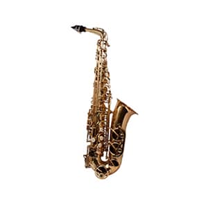Nuvo instruments, Flute lessons, Saxophone lessons, Instrument hire, musical instrument hire, Music lessons, online music lessons, wind wizards, wwizards