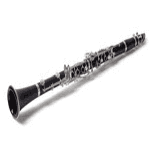 clarinet 300